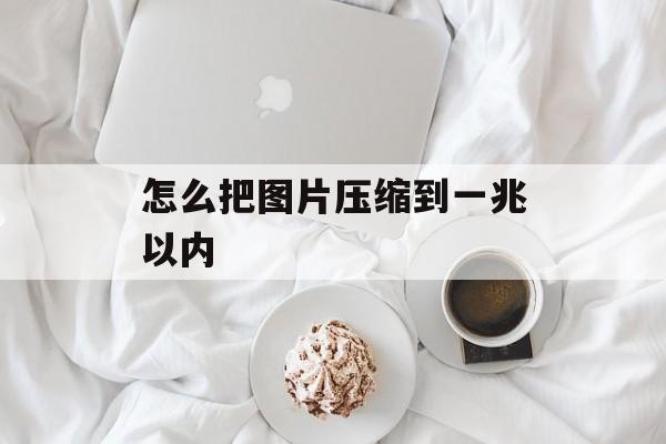 怎么把图片压缩到一兆以内