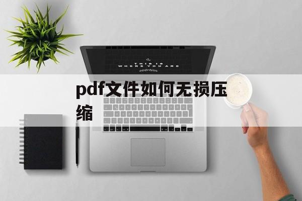 pdf文件如何无损压缩