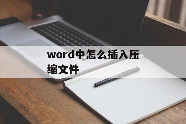 word中怎么插入压缩文件